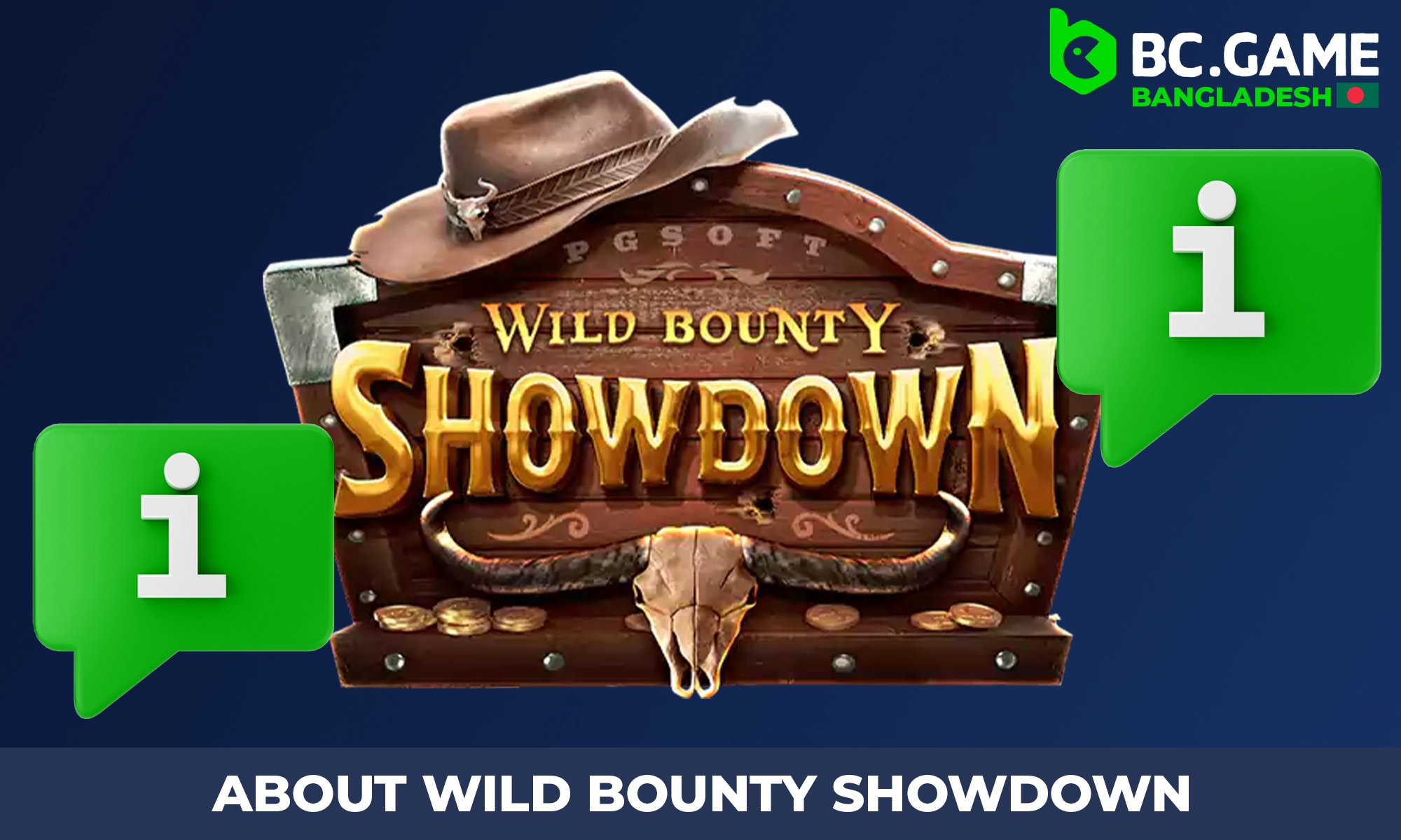 Информация об игре Wild Bounty Showdown на BC Game